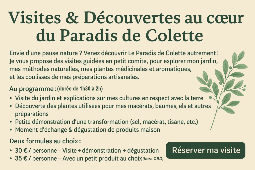 visite guidée